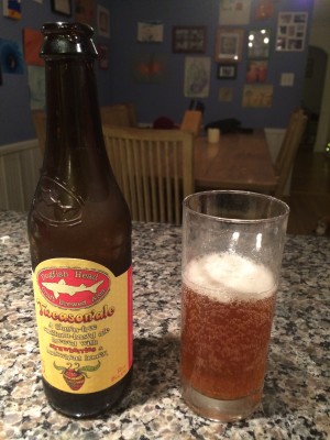 Dogfish Head Tweason'ale gluten free beer bottle and glass