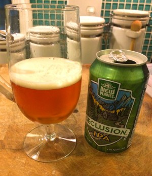 seclusion-ipa-can-glass