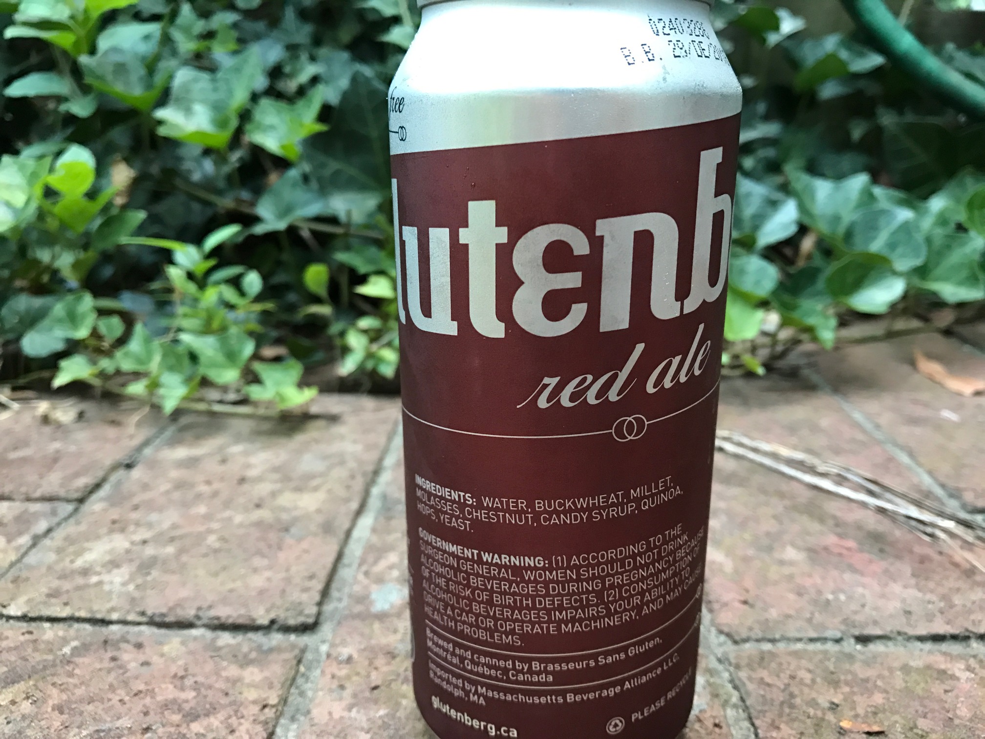 close up of Can of Glutenberg Red Ale- Gluten free Beer, on brick and Ivy background